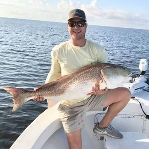 Meet your Posher, Stillman